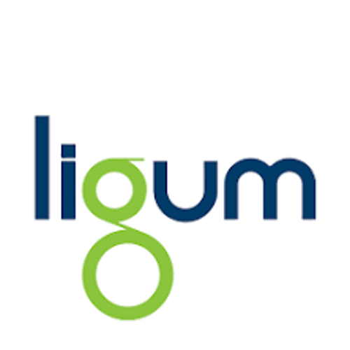 LIGUM pobrany plik_500x500